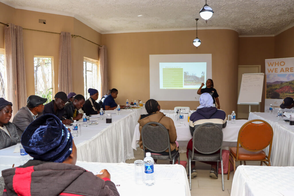 CNRG’s Rachel Jambo presenting on the tenets and principles of the Right to Say No Campaign during a capacity building workshop in Gweru with Dzikamidzi villagers.